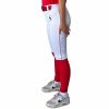 BRUCE BOLT Premium Pro Softball Knicker | Baseball Pants