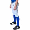 BRUCE BOLT Premium Pro Baseball Knicker | Baseball Pants